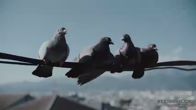 重启人生